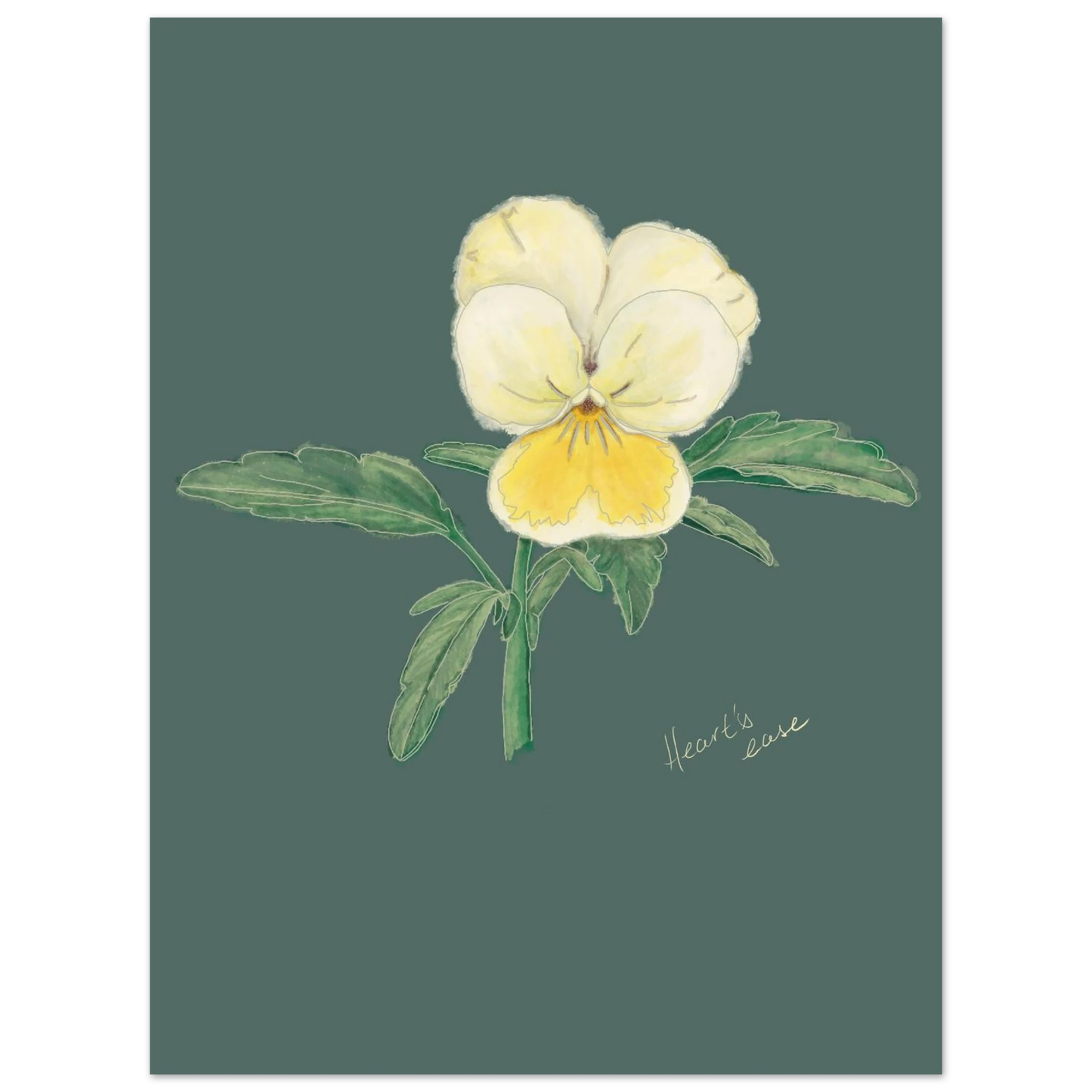 31eae86a-855d-419e-b720-d507b0b8e429
