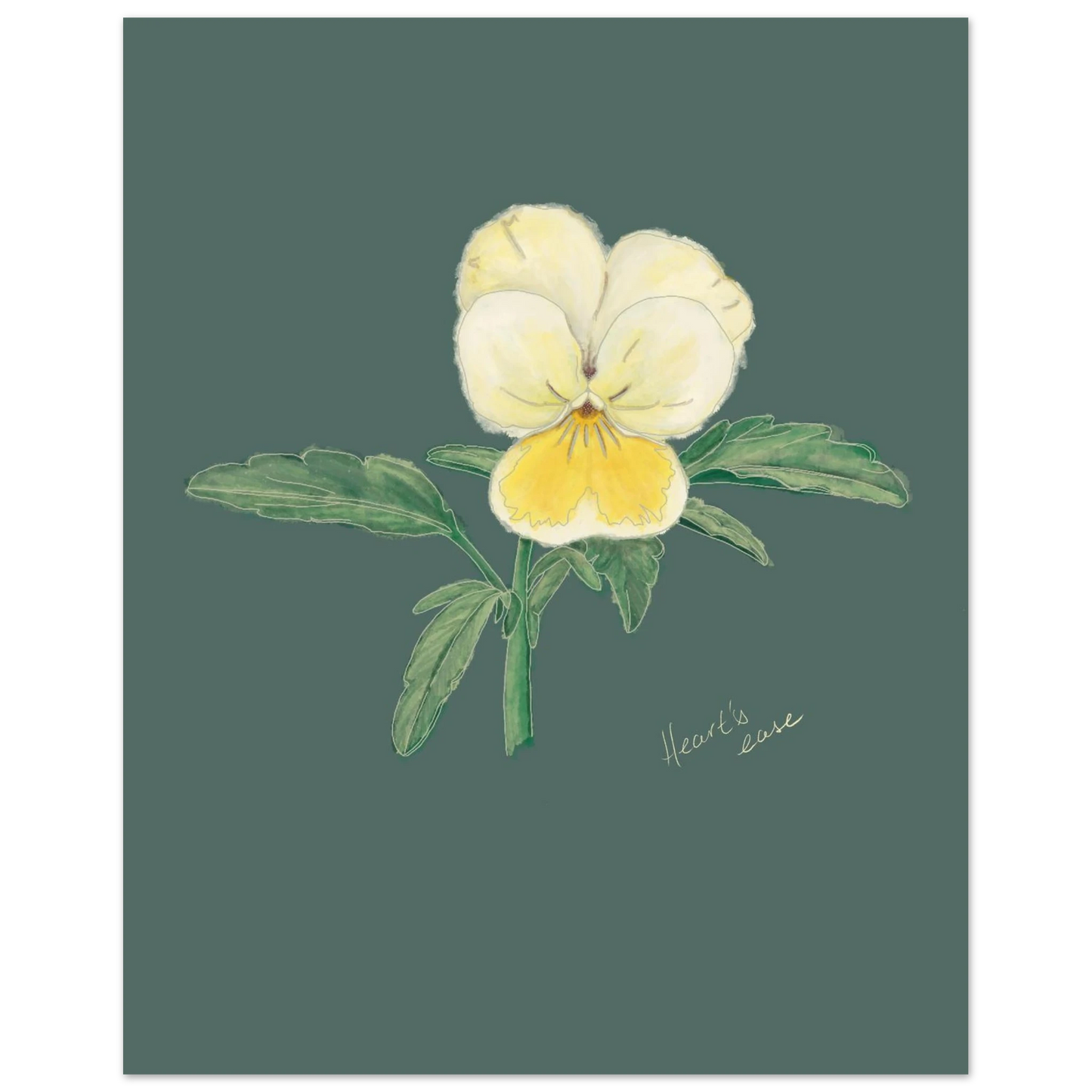 cbcdd41b-bc08-4fbf-8c3a-8c965d1ac304