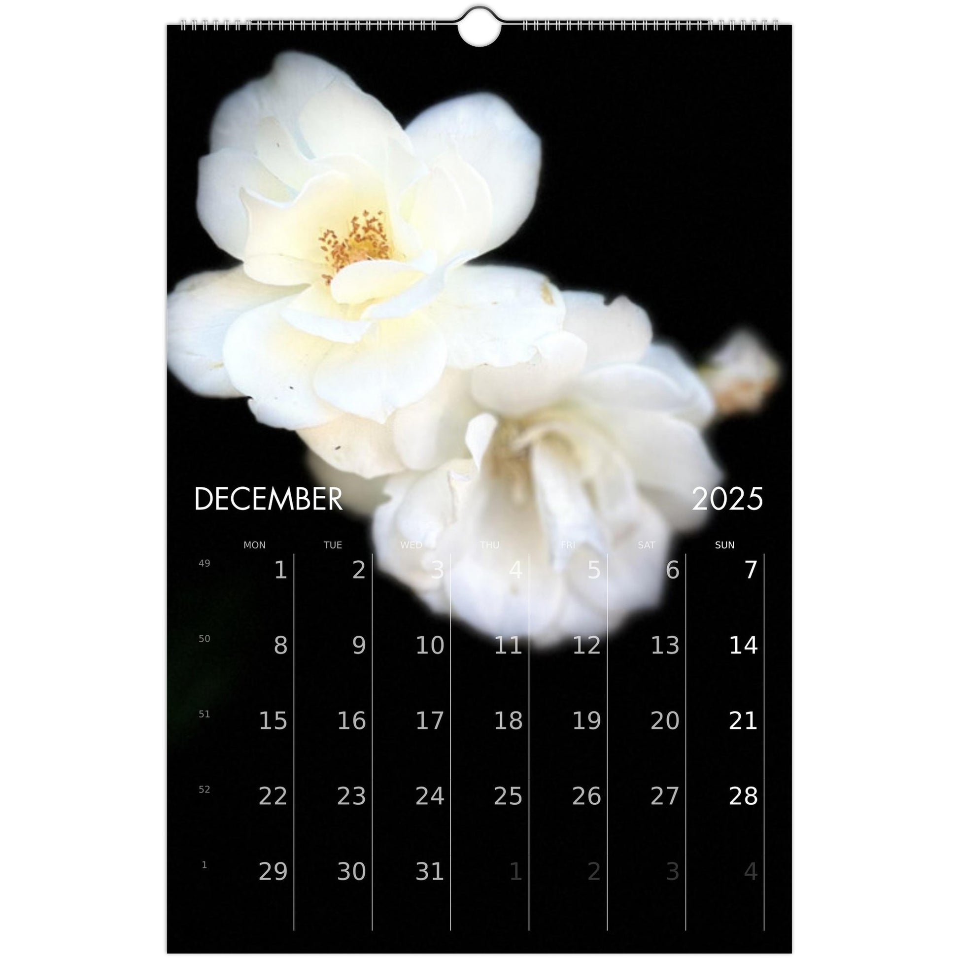 ff3d39a9-3e7e-449e-8a69-708726fdee21